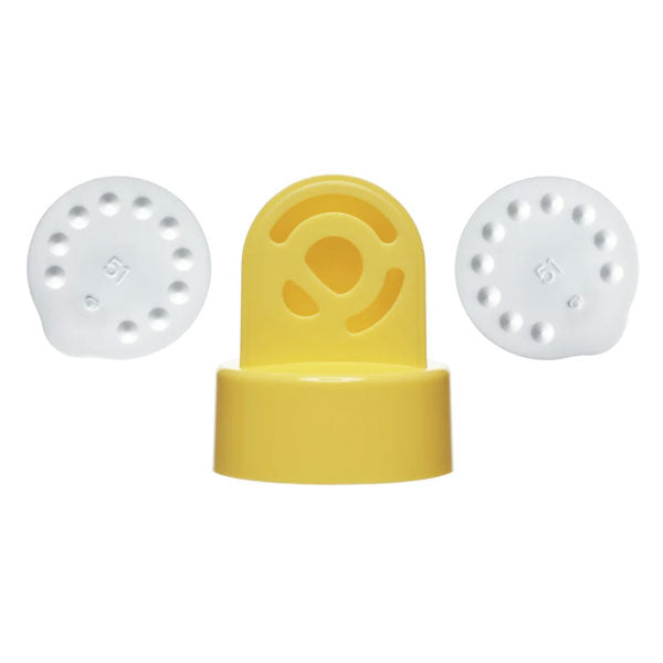 Valves and Membranes Replacement Set